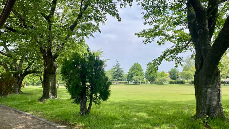 ピクニック 公園