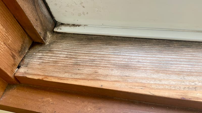 黒カビが取れた窓枠　カビホワイト緑