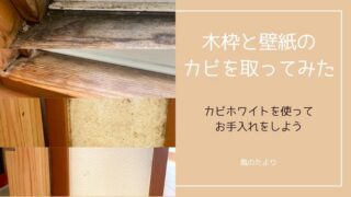 窓の木枠と壁紙のカビを取ってみた【カビホワイトレビュー】
