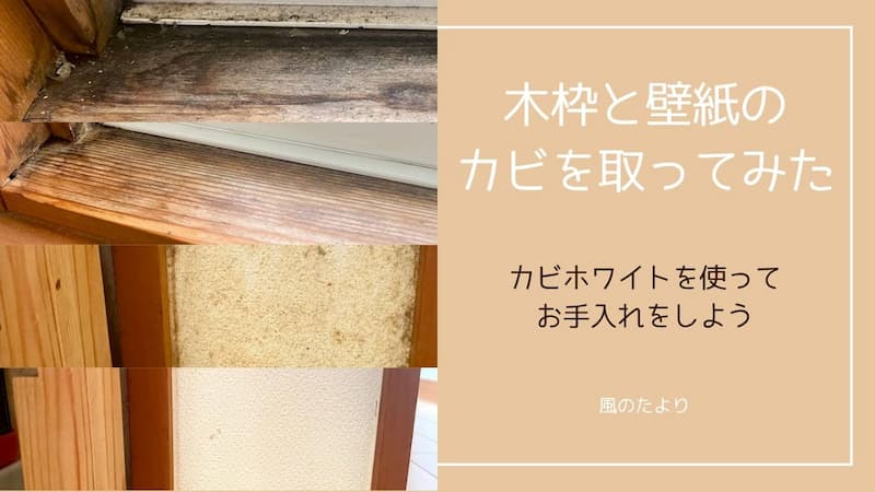 窓の木枠と壁紙のカビを取ってみた【カビホワイトレビュー】