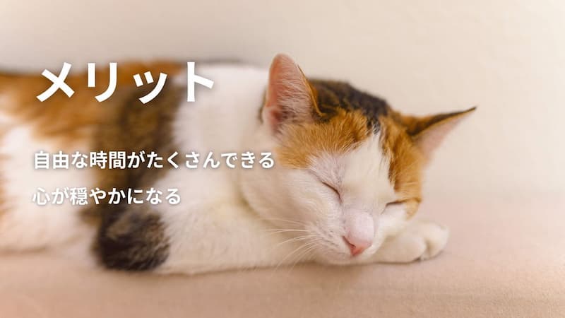 セミリタイアのメリット