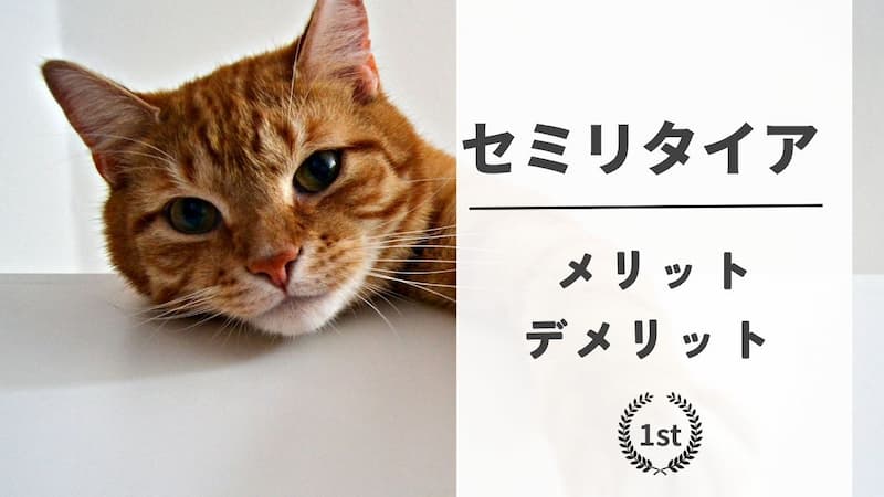 セミリタイアのメリットとデメリット