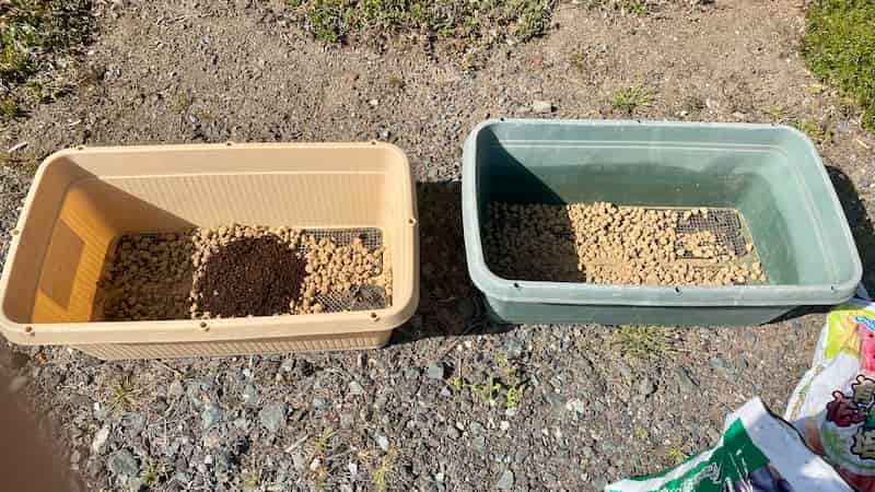 ラディッシュとにんじんをプランターで育てる